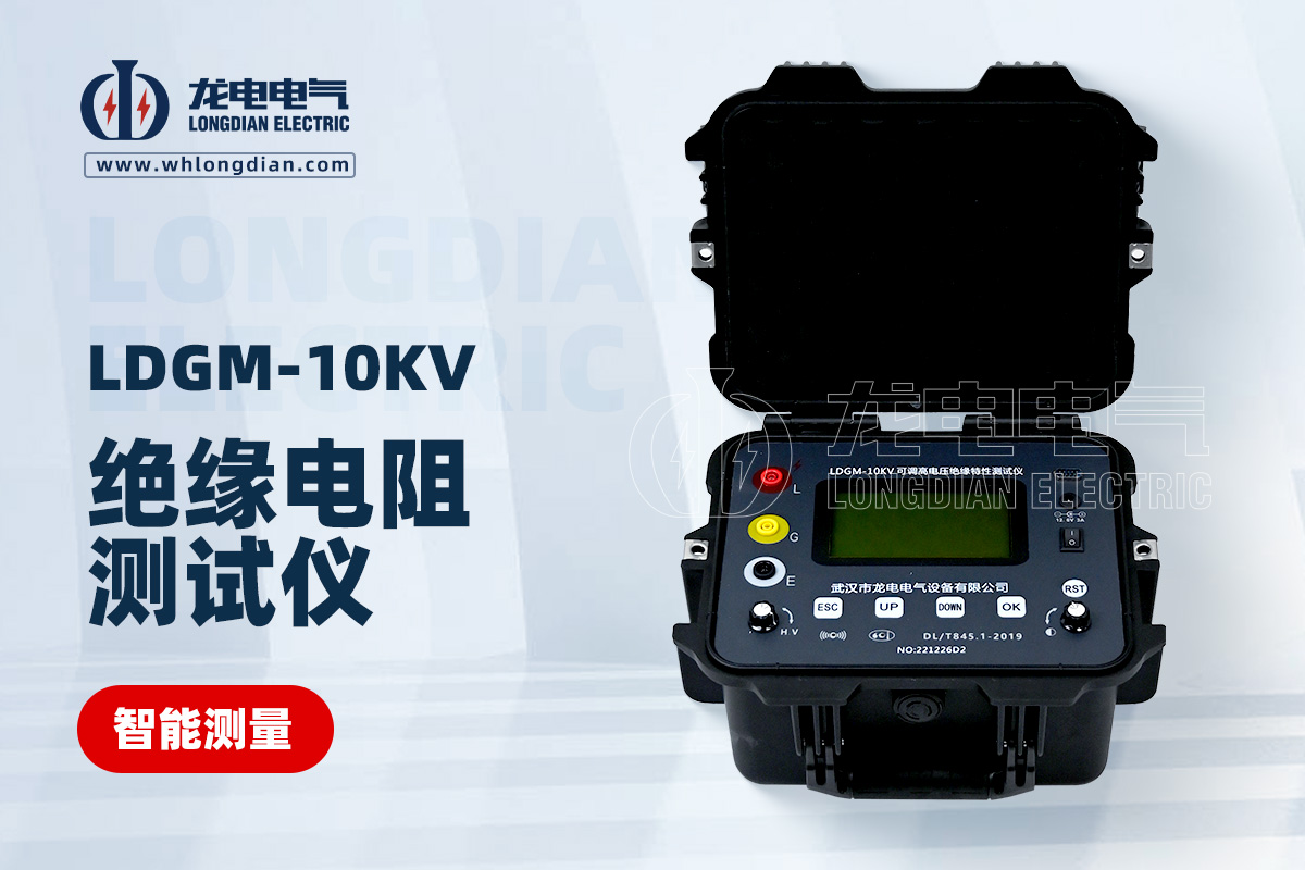 LDGM-10KV 絕緣電阻測(cè)試儀