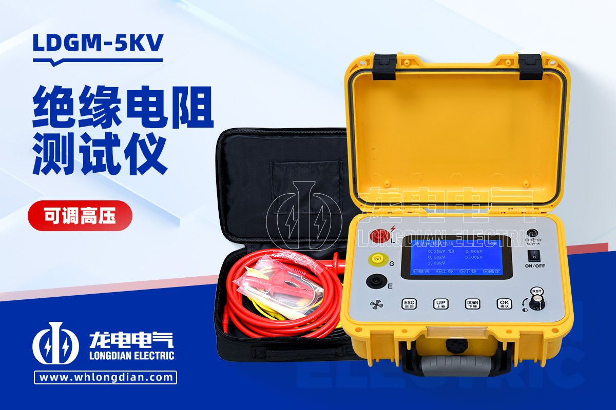 LDGM-5KV 可調(diào)高壓絕緣電阻測(cè)試儀